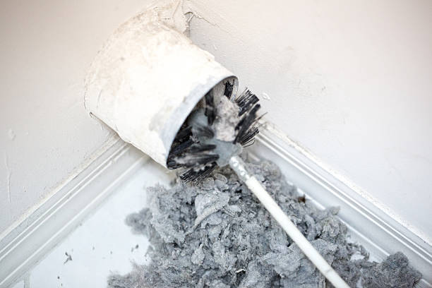 Best Commercial Air Duct Cleaning  in West Park, FL